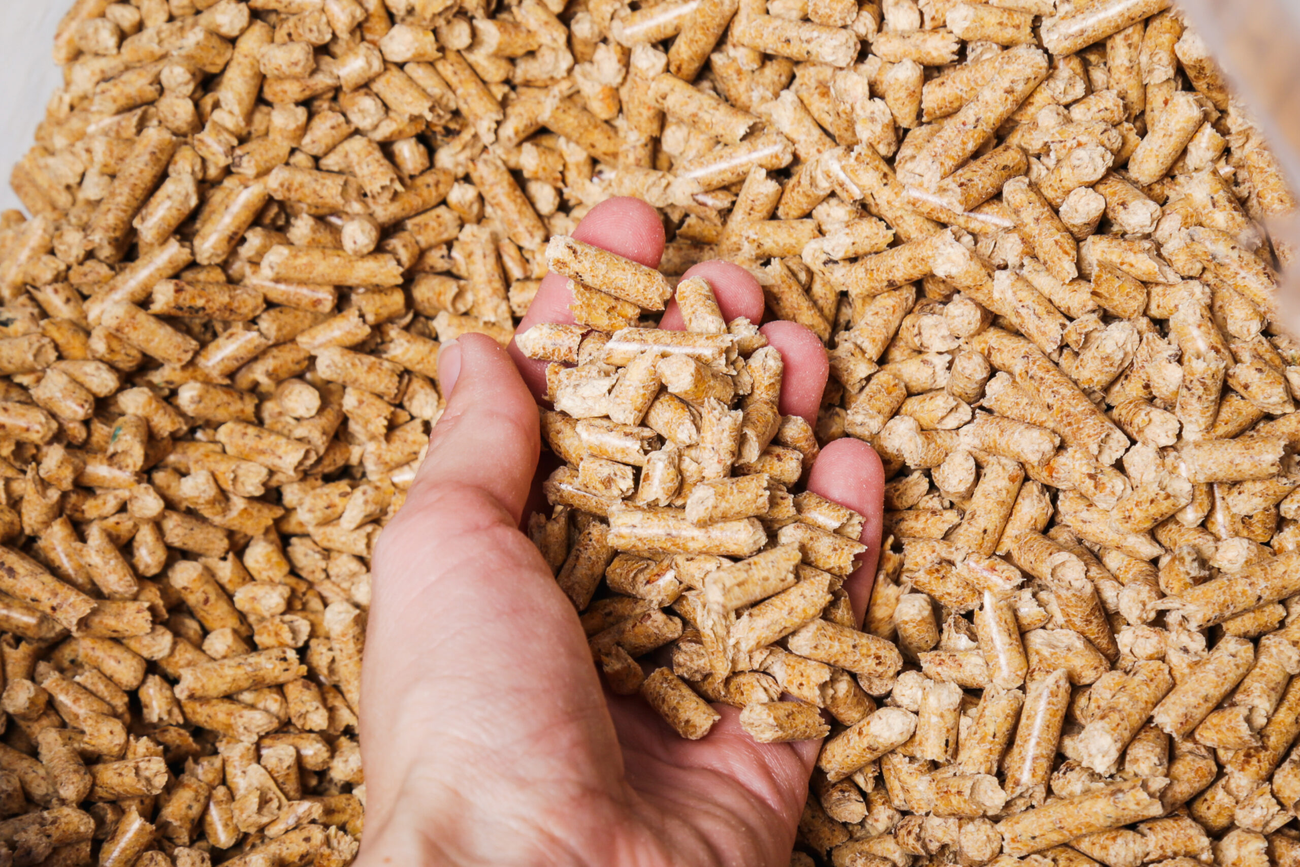 Energy. Pellets on the table